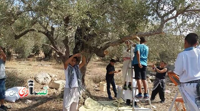 فيديو: طلاب وطالبات مدرسة جنة ابن رشد يُجسدون احداث مجزرة كفرقاسم على ارض الواقع من خلال فيلم وثائقي 